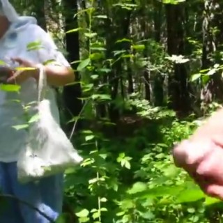 Порно маленький сын трахнул мать