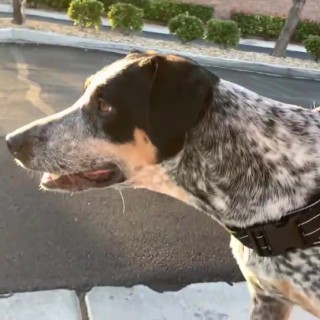 Порно большая попа маленькая талия