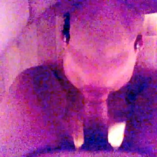 Порно отсос скрытая камера