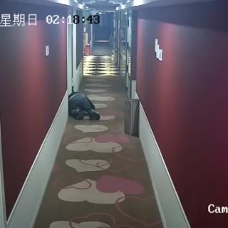 Лесбиянка насилует свою подругу секс видео